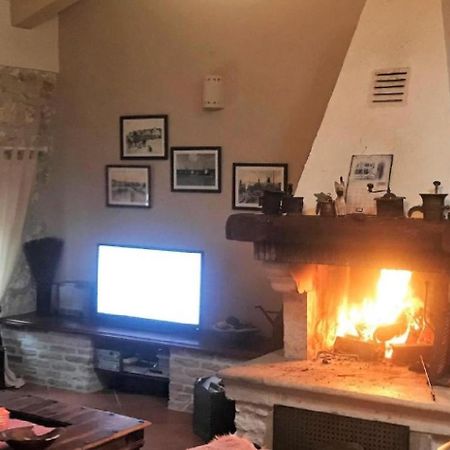 Saison Openning Prices Luxury Villa Nini With Fireplace, Private Pool, Bikes, Barbecue And Much More Poreč Eksteriør billede